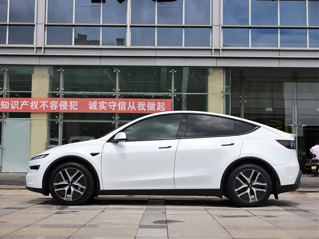 Tesla Model Y — миниатюра 7