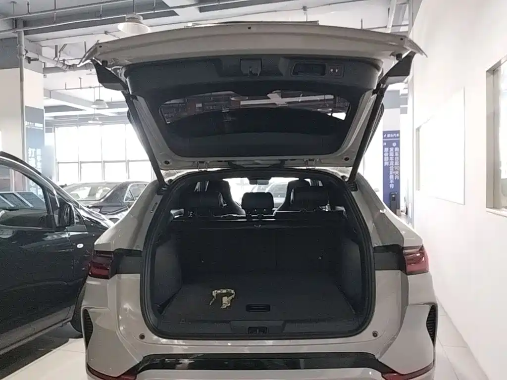 BYD PLUS New Energy — миниатюра 19