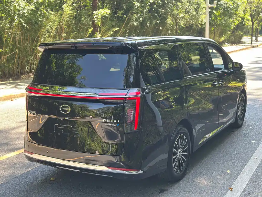 GAC Motor Trumpchi Xiangwang M8 — миниатюра 5