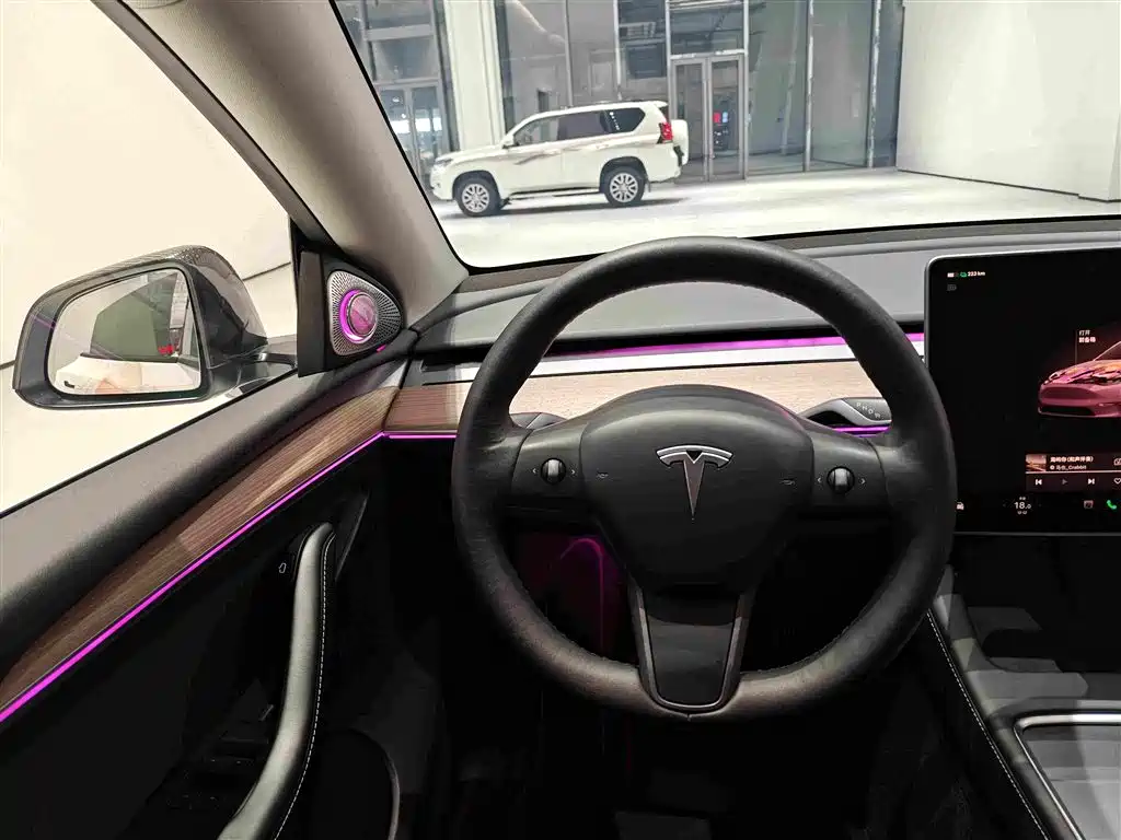 Tesla Model Y — миниатюра 11