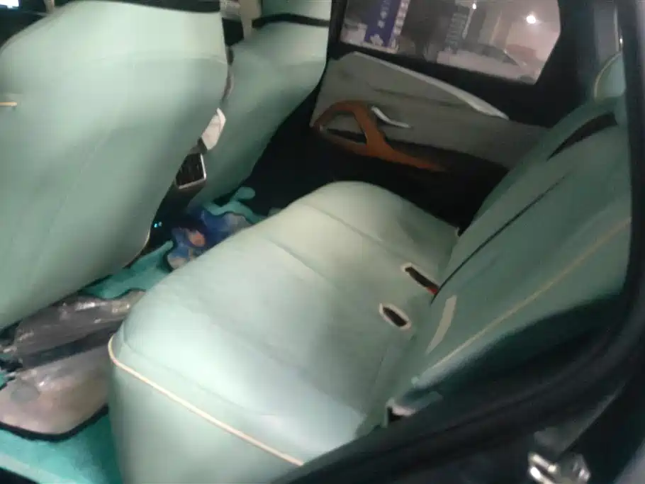 BYD SONGJIANG NEW ENERGY