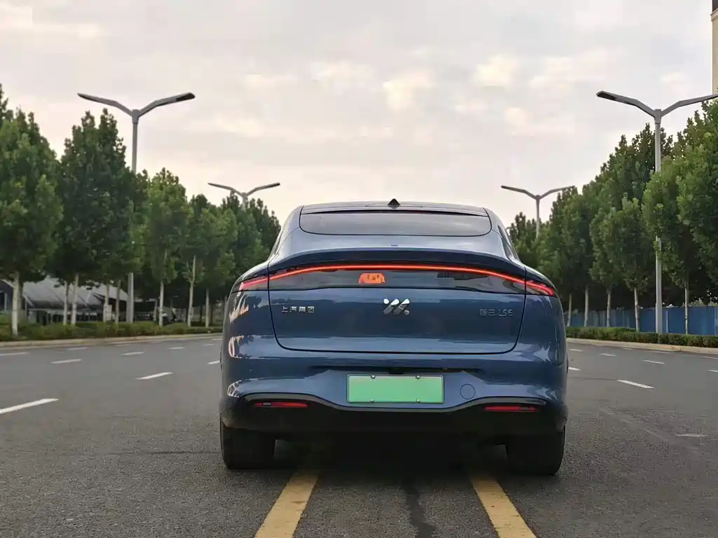 IM IM LS6 — миниатюра 7