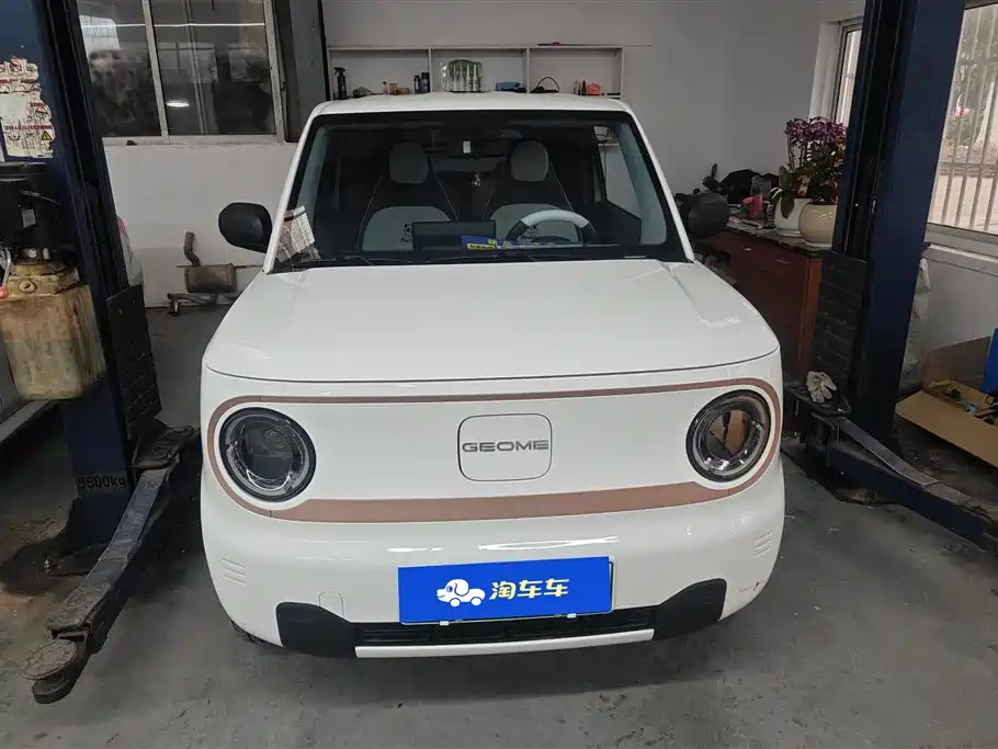 GEELY GALAXY PANDA