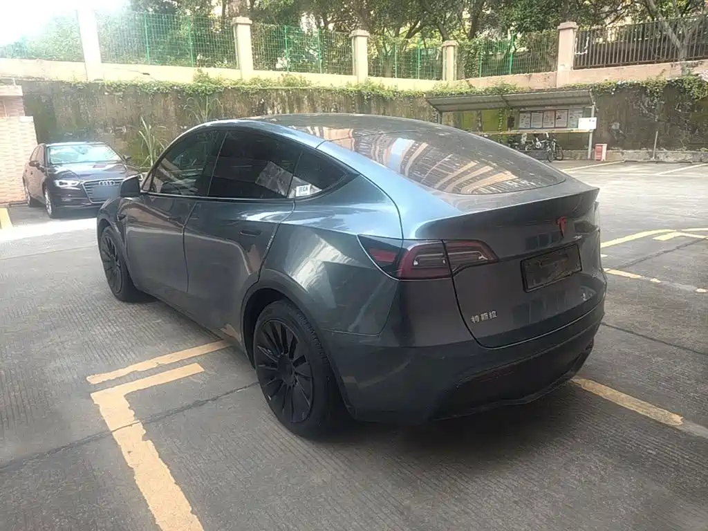 Tesla Model Y — миниатюра 5