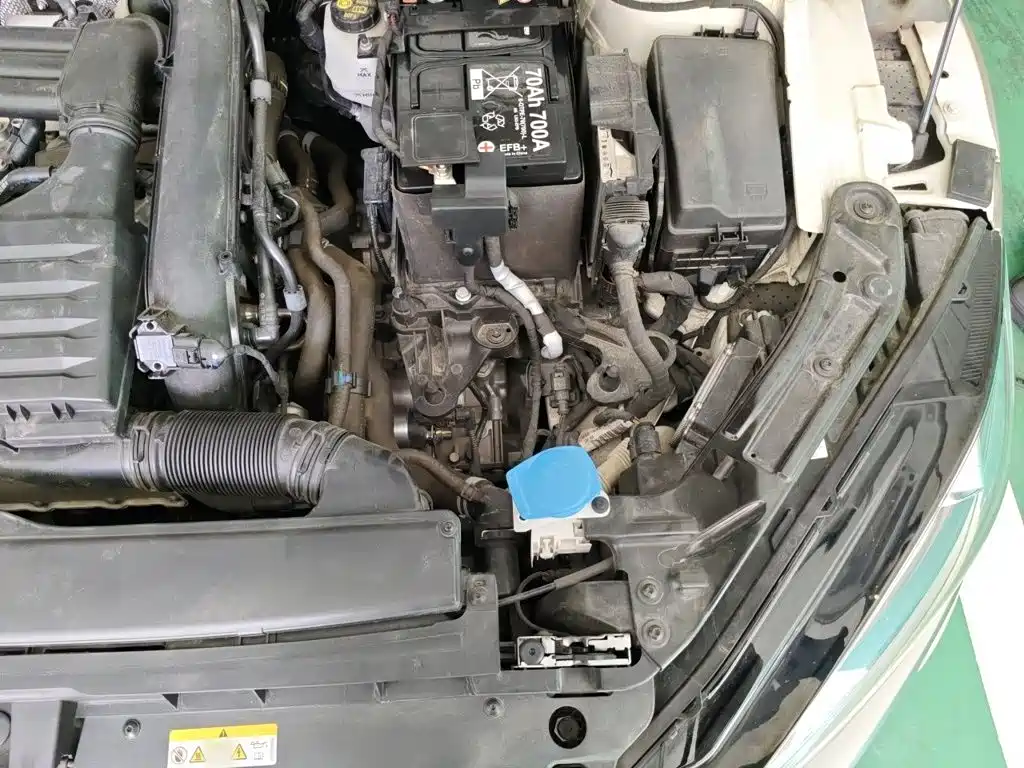 Volkswagen Lamando — миниатюра 22