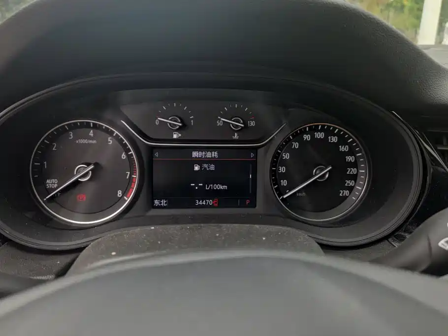 Buick Regal — миниатюра 14