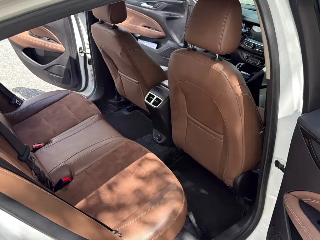 Buick Regal — миниатюра 13