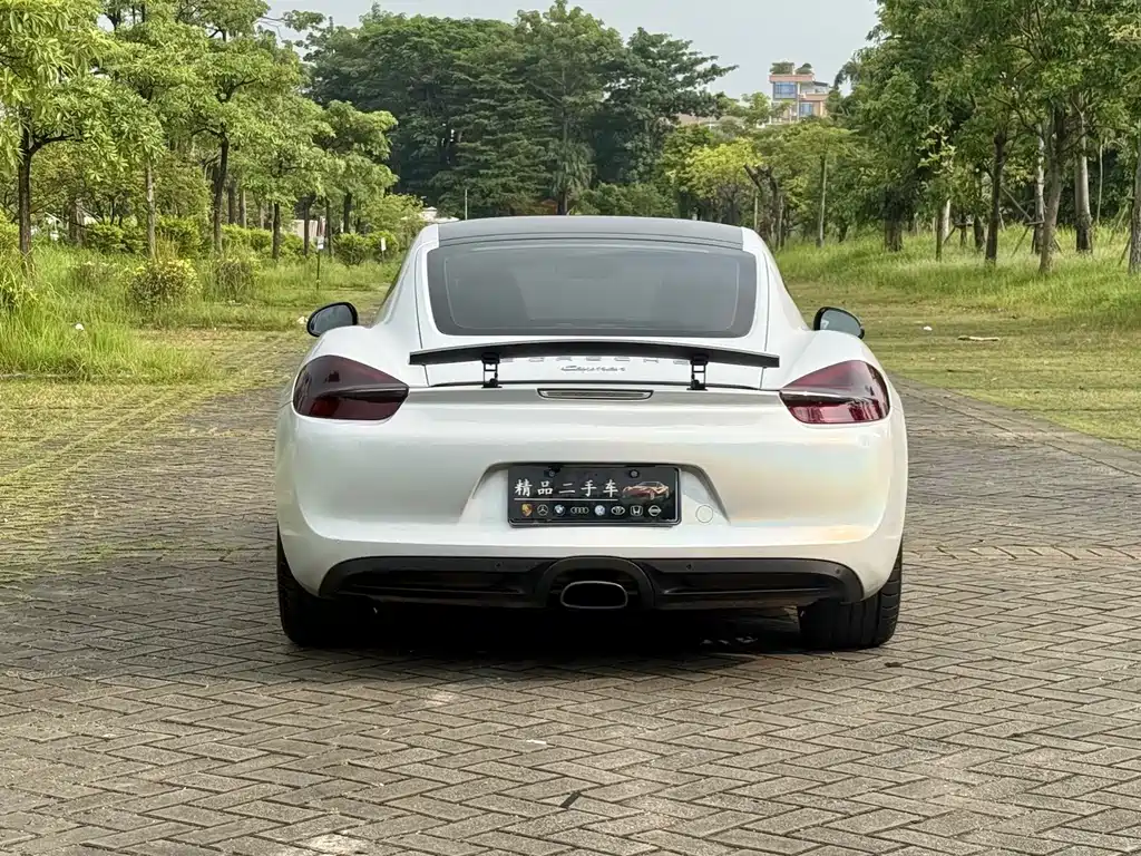 Porsche Cayman — миниатюра 15