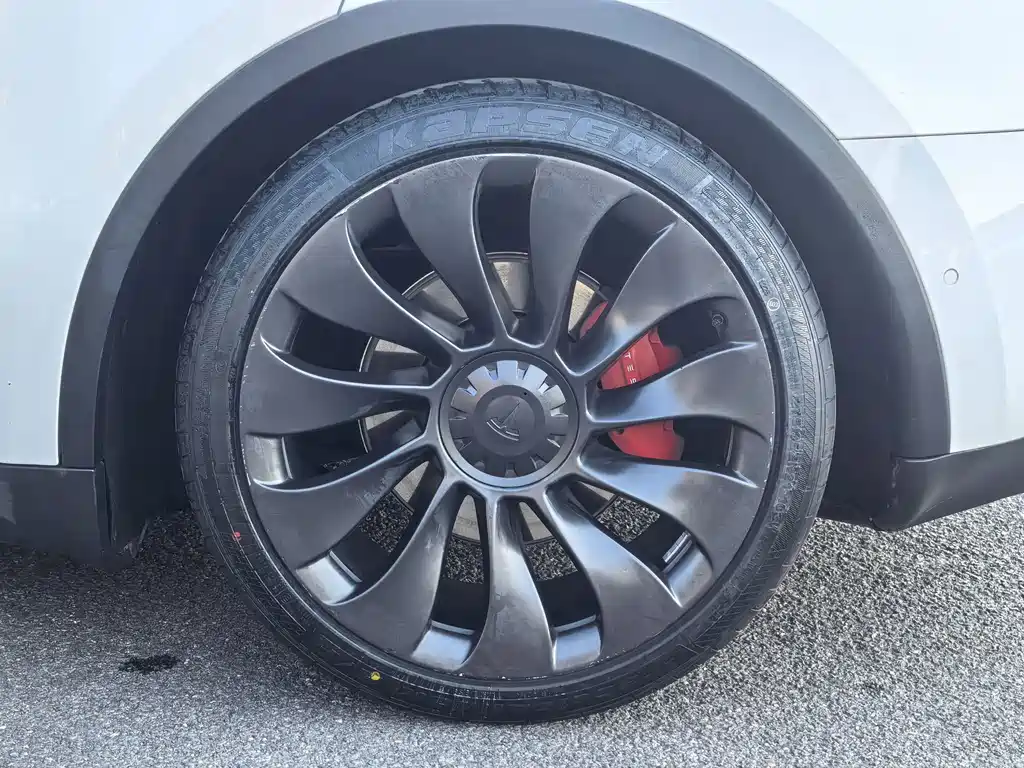 Tesla Model Y — миниатюра 17