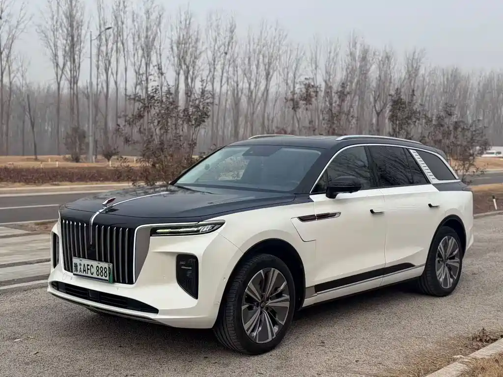 Hongqi HONGQI E HS9