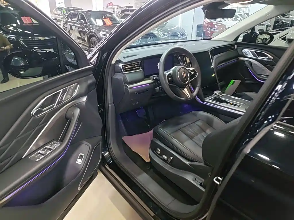 Hongqi Hongqi HS7 PHEV — миниатюра 16