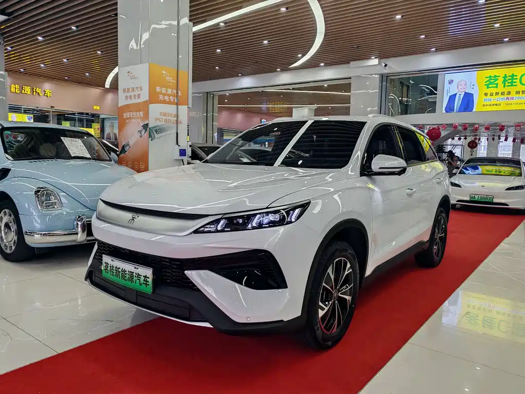 Byd Pro New Energy 2026