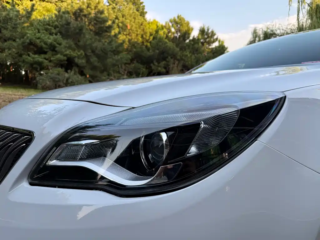 Buick Regal — миниатюра 19