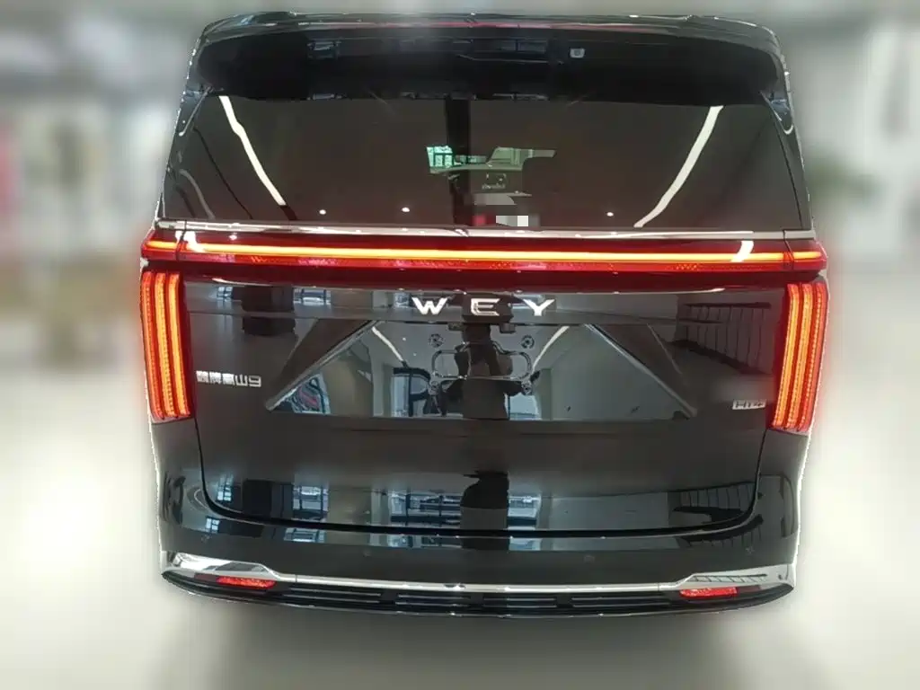 Wey 魏牌 高山新能源 — миниатюра 8