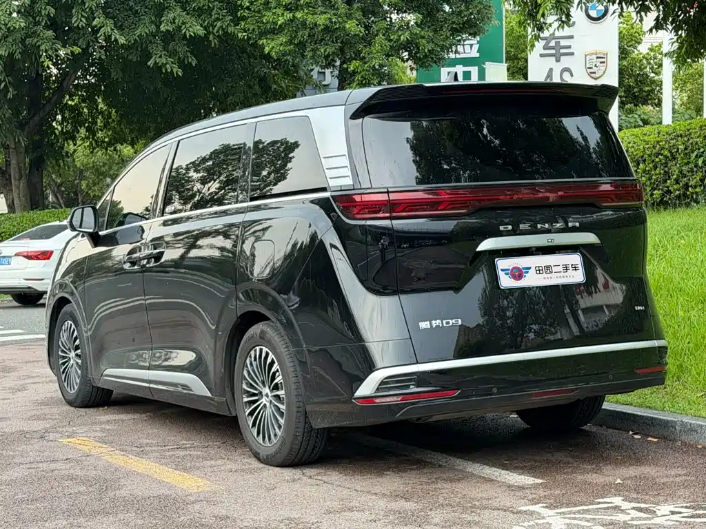 Denza Denza D9 — миниатюра 4