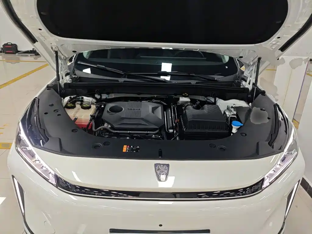 Roewe D5X DMH — миниатюра 20