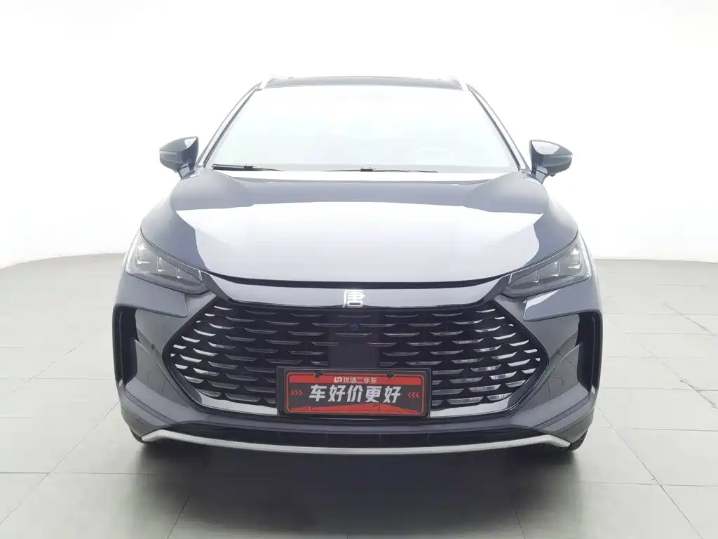 BYD Tang New Energy — миниатюра 3