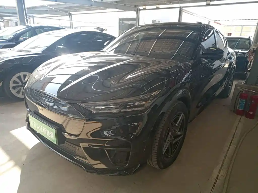 Ford Mustang Mach-E — миниатюра 2