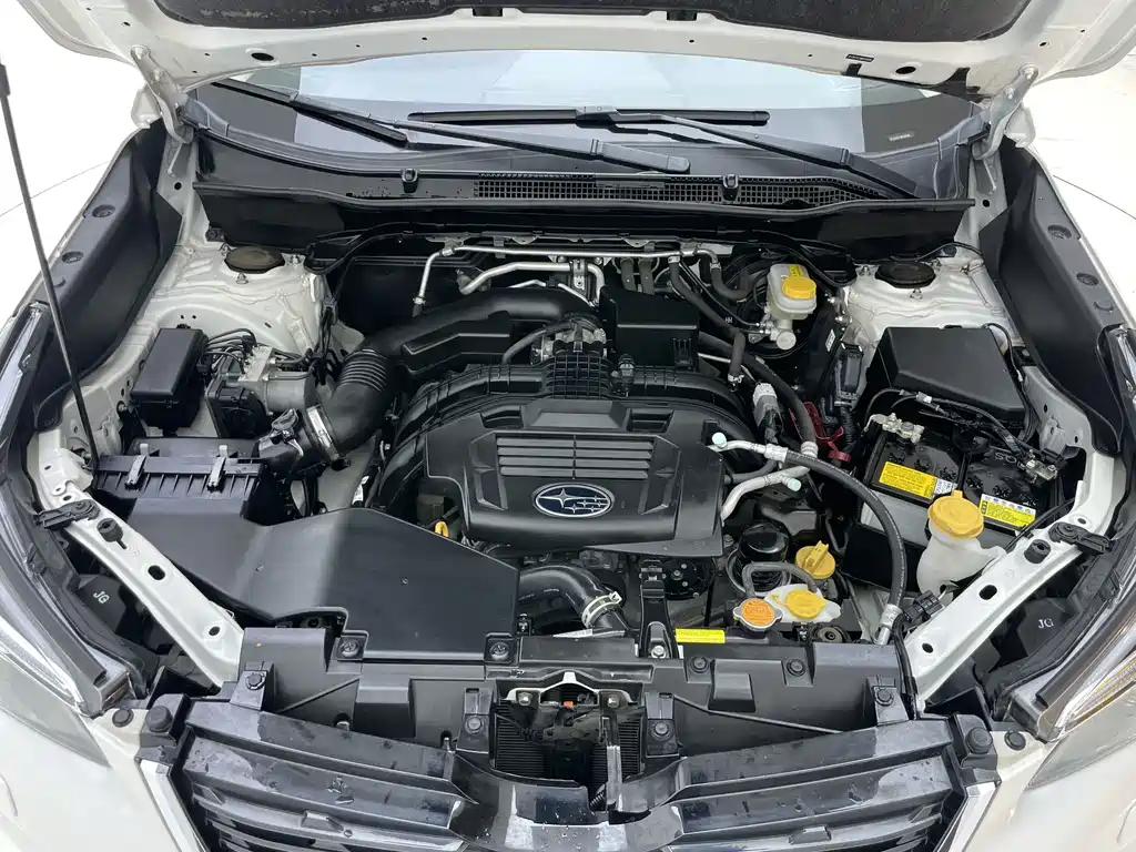 Subaru Forester — миниатюра 31