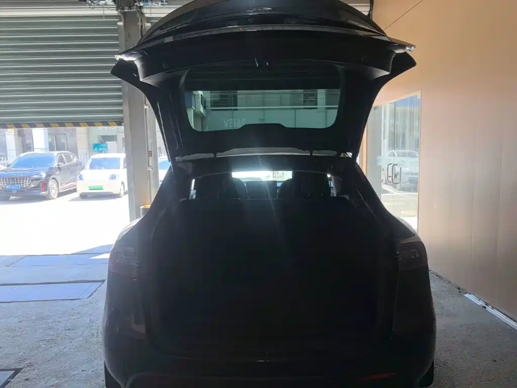 Tesla Model Y — миниатюра 19