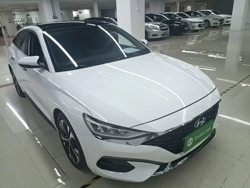Hyundai Fista — миниатюра 4