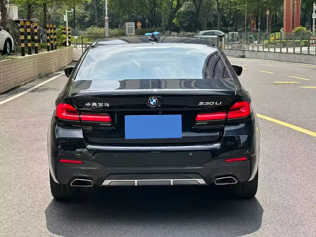 BMW 5 Series — миниатюра 4