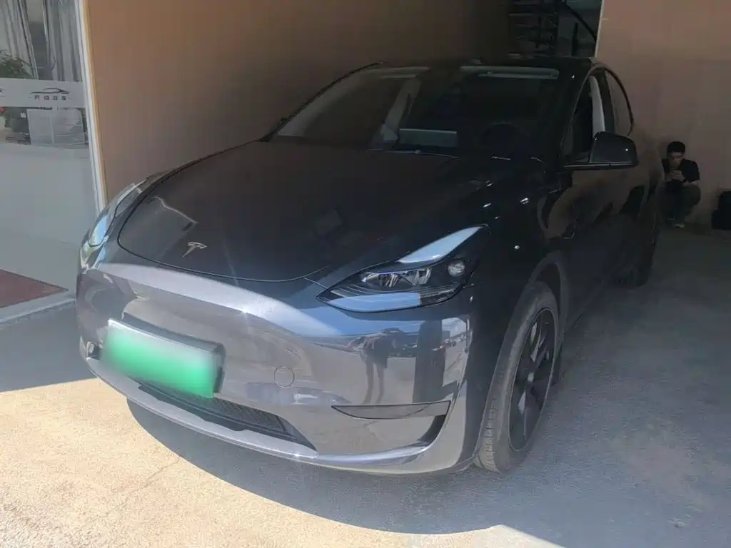 Tesla Model Y — миниатюра 2