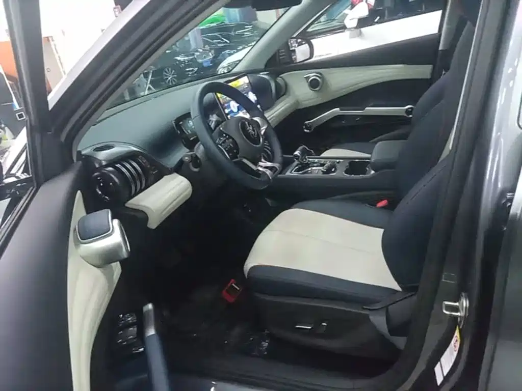BYD Yuan Plus — миниатюра 16