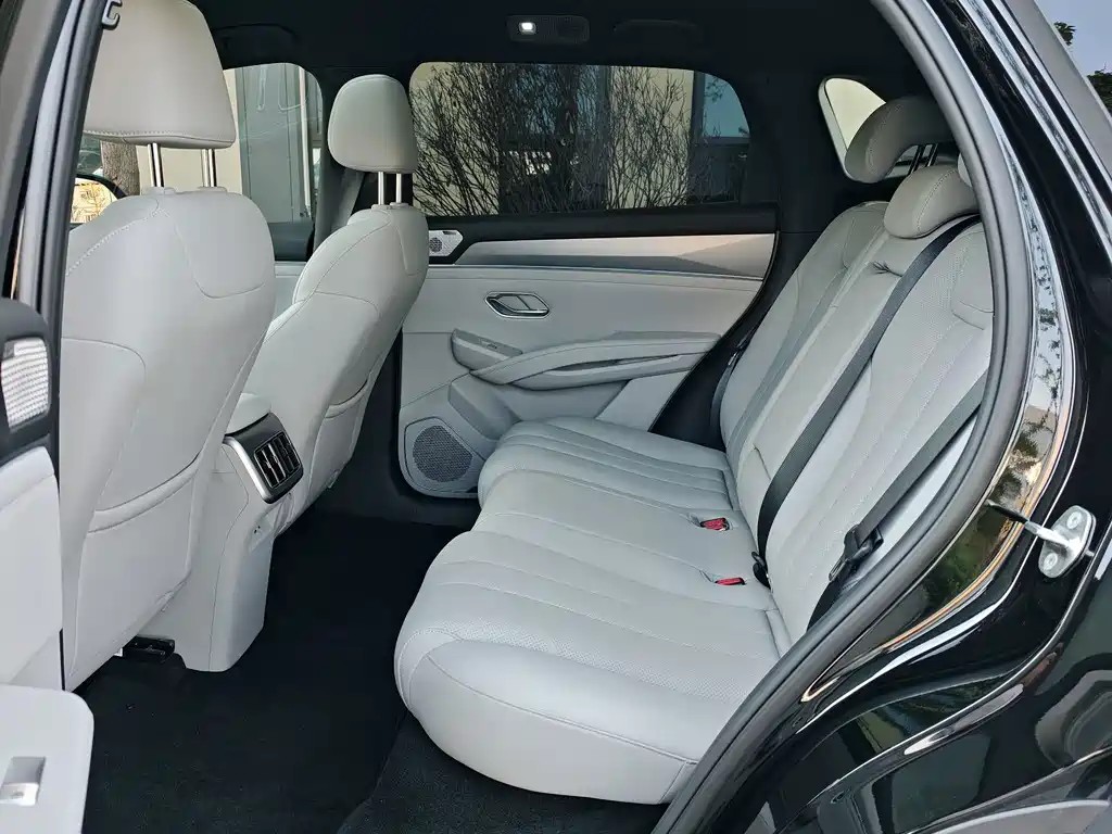 BYD Song Ultra — миниатюра 5