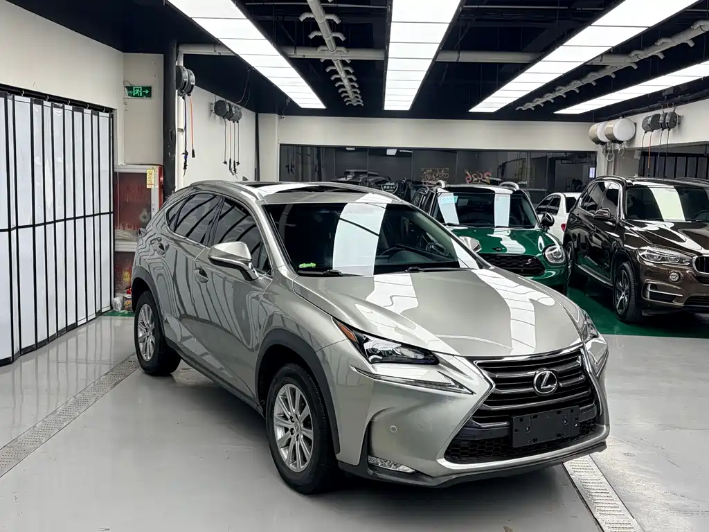 LEXUS NX