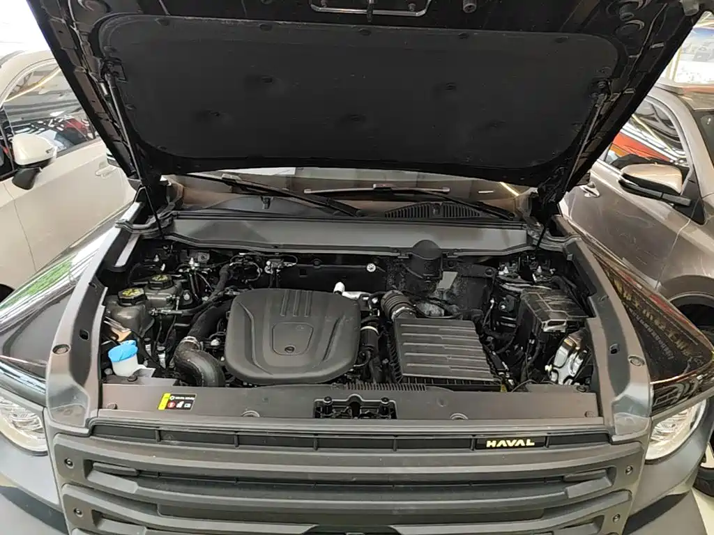 Haval Menglong New Energy — миниатюра 20