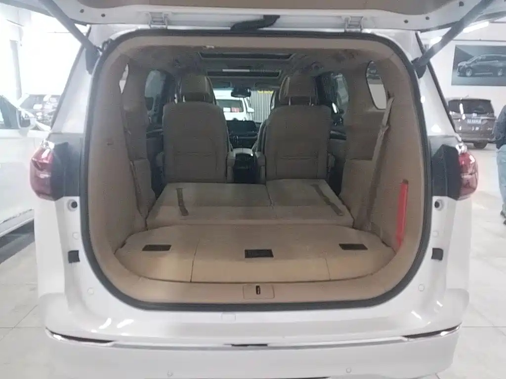 Buick GL8 — миниатюра 19
