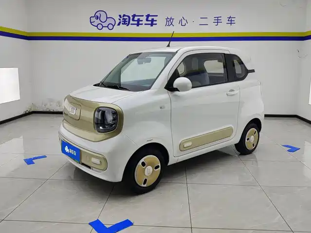 2024 Bestune Pony