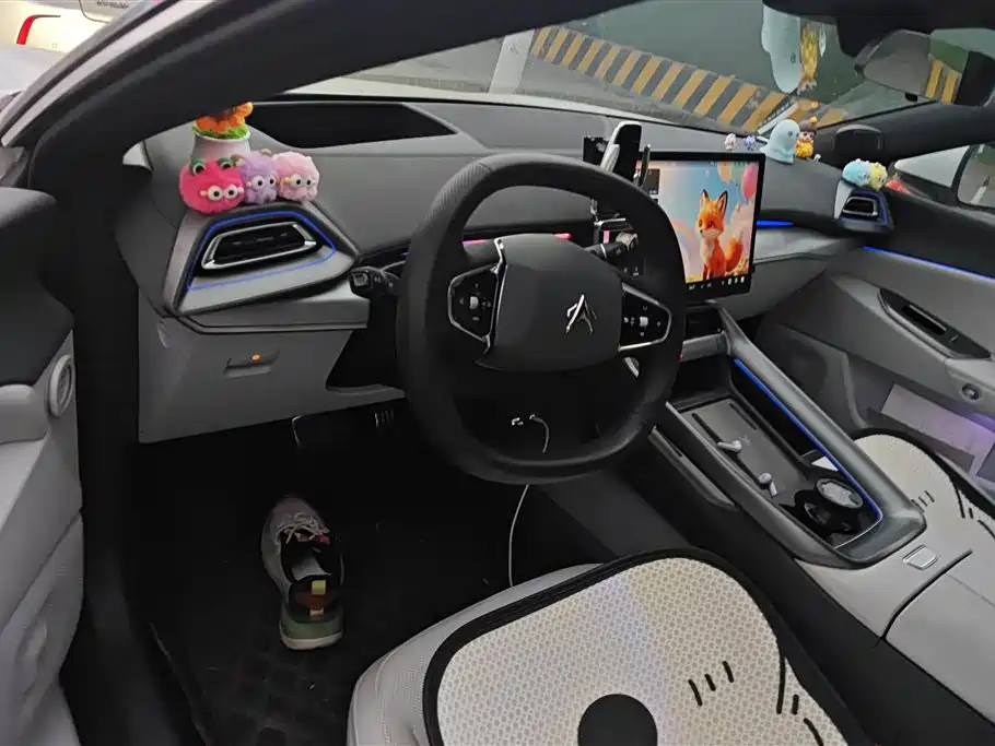 ARCFOX EXTREME FOX POLAR FOX ALPHA S5