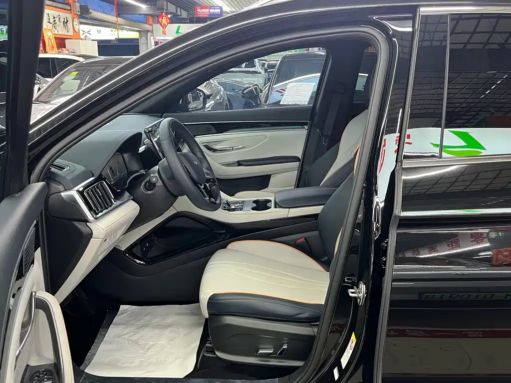 BYD PLUS New Energy — миниатюра 7