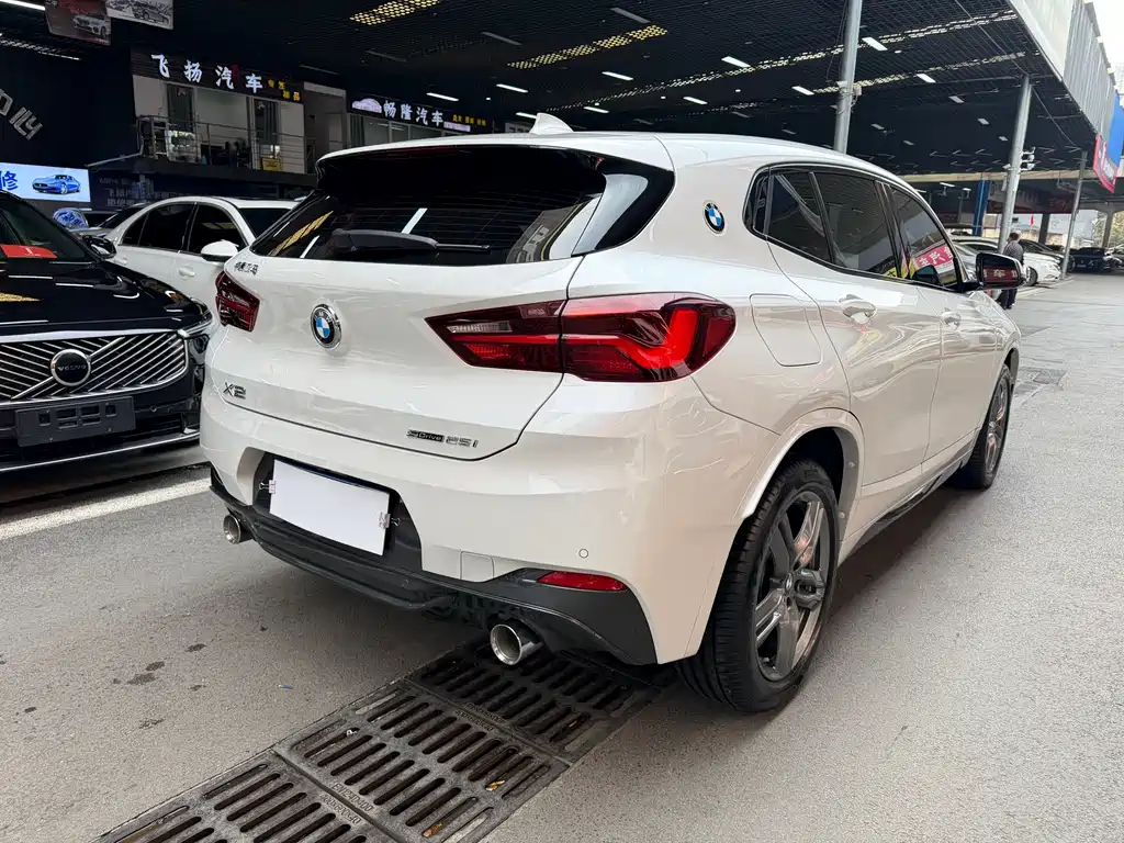 BMW X2