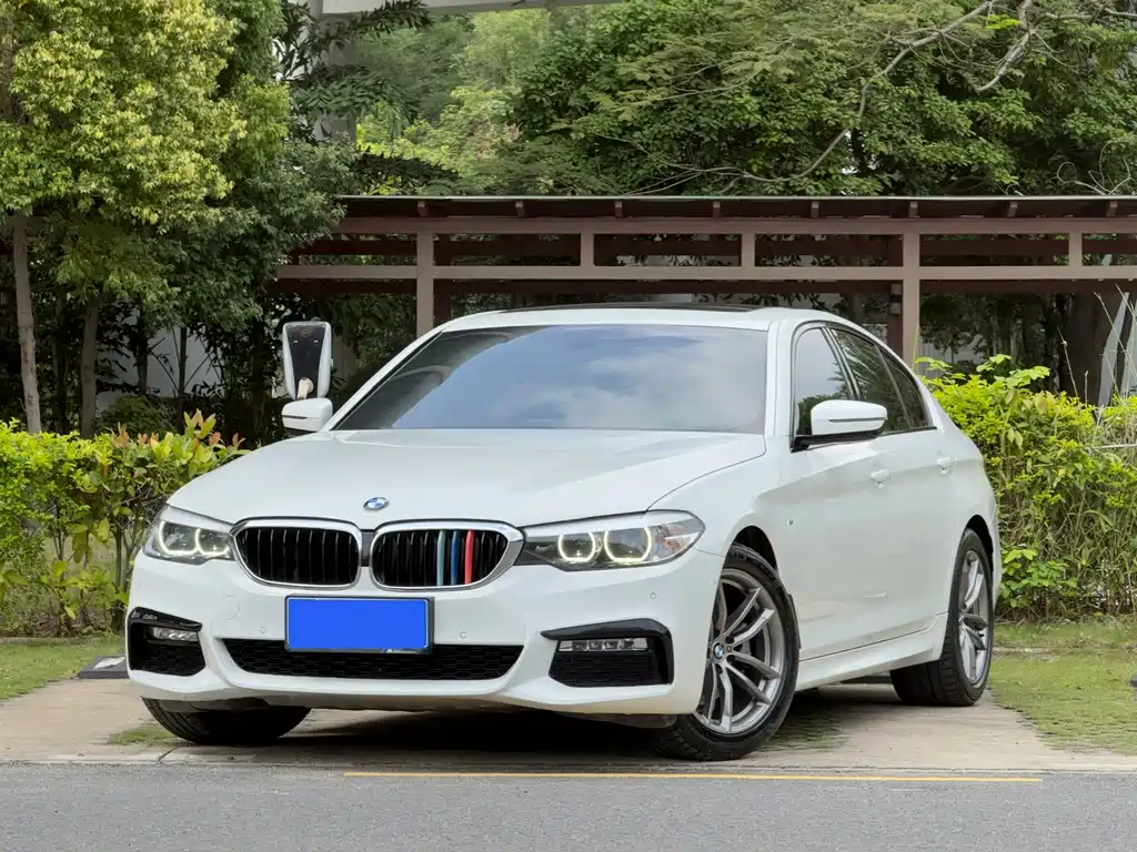 BMW 5 Series (Import) 2018