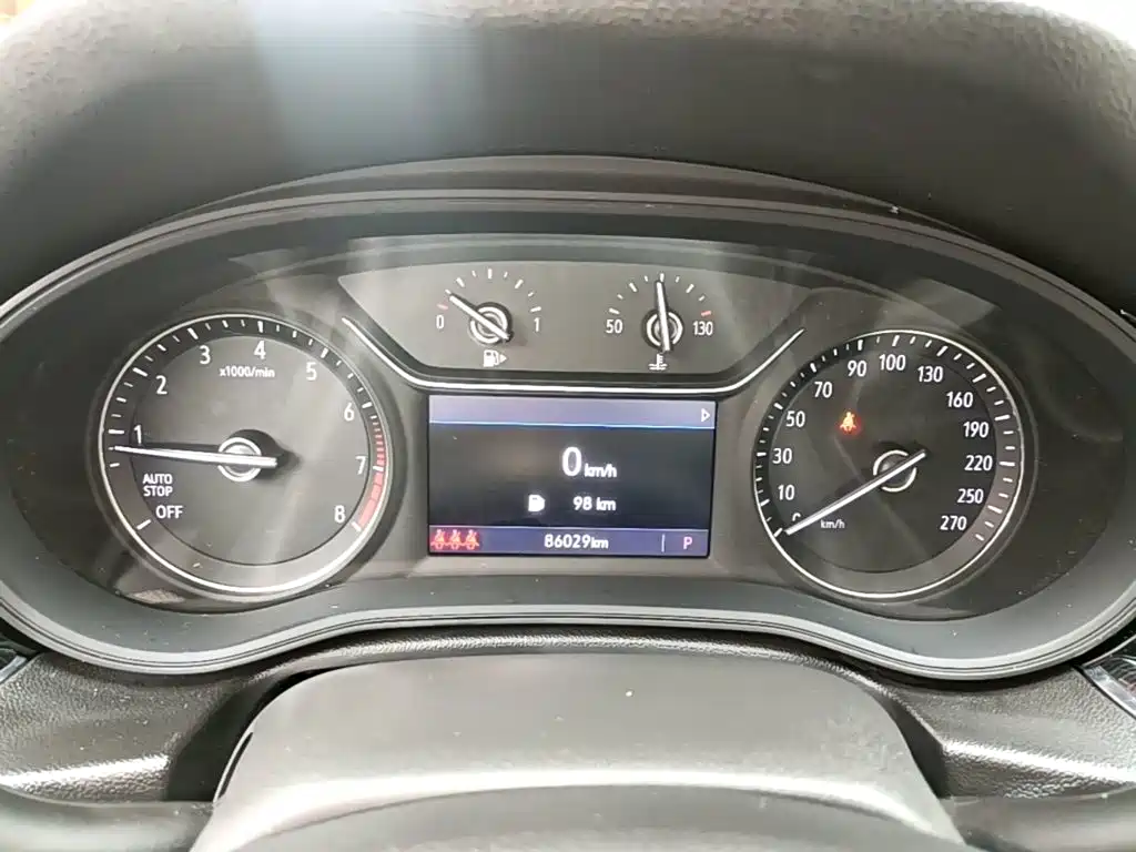 Buick Regal — миниатюра 12