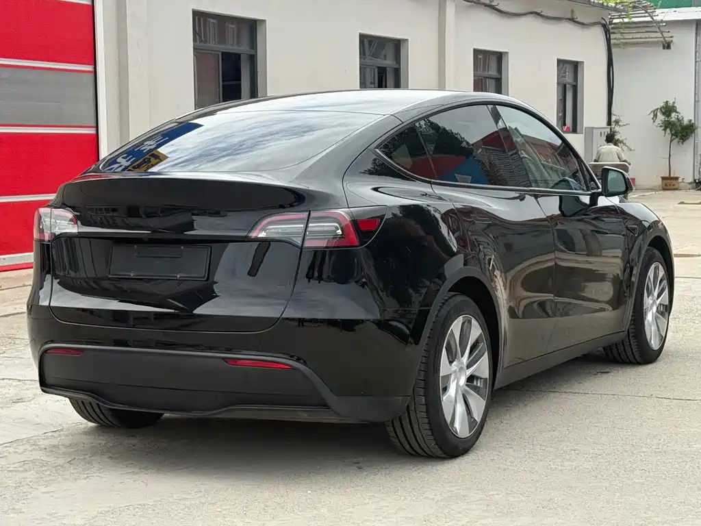 Tesla Model Y — миниатюра 15