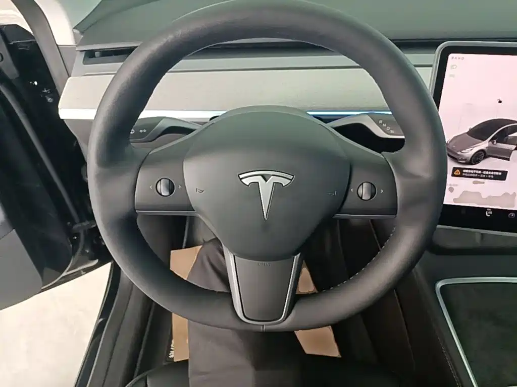Tesla Model Y — миниатюра 11