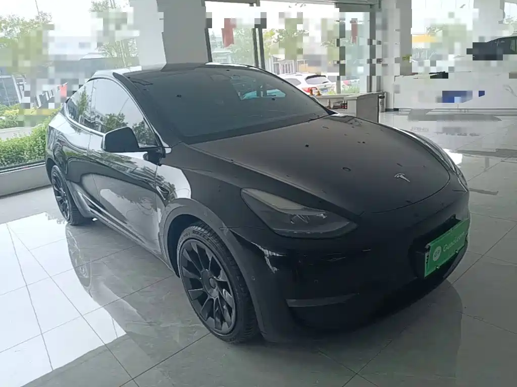 Tesla Model Y — миниатюра 4
