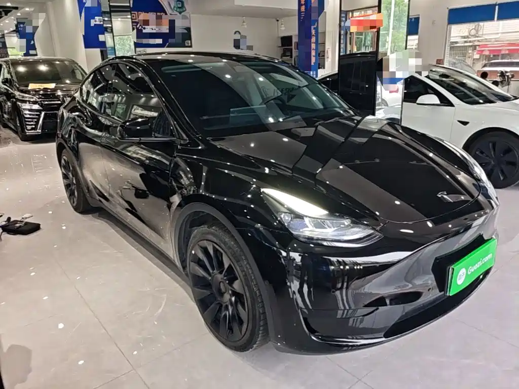 Tesla Model Y — миниатюра 4