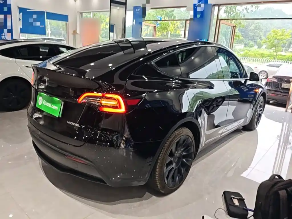 Tesla Model Y — миниатюра 7