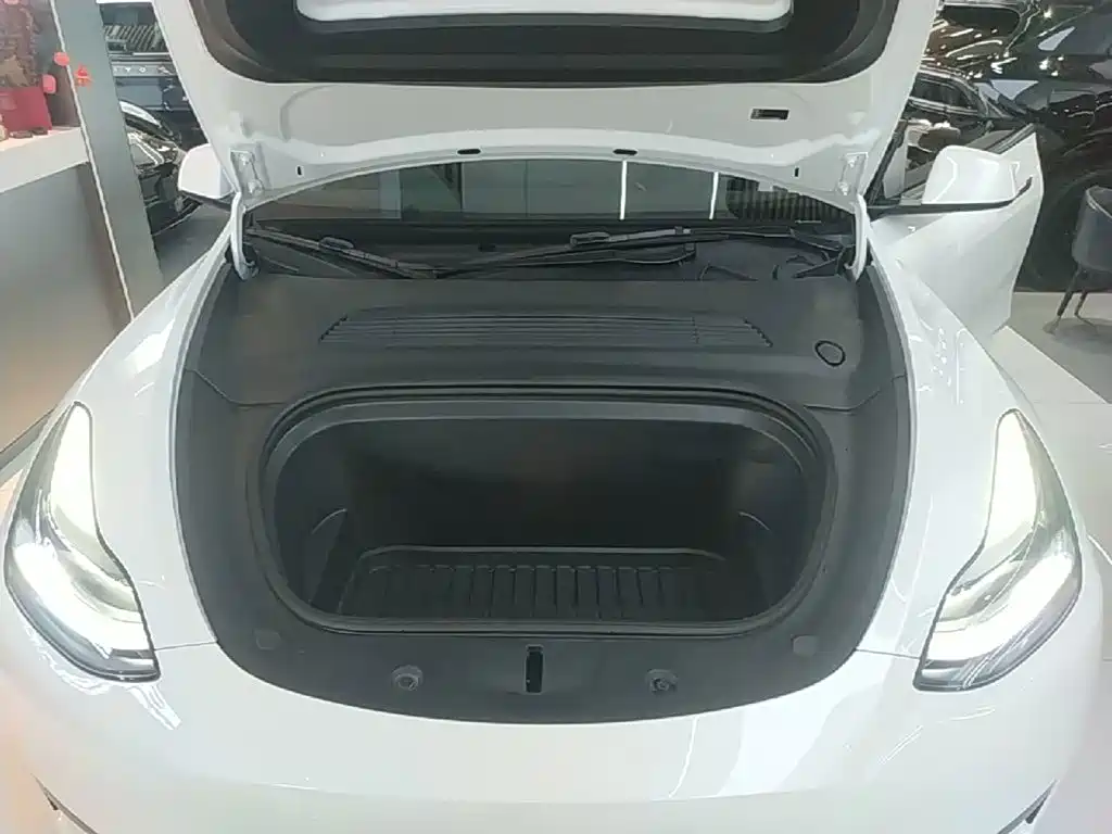 Tesla Model Y — миниатюра 20