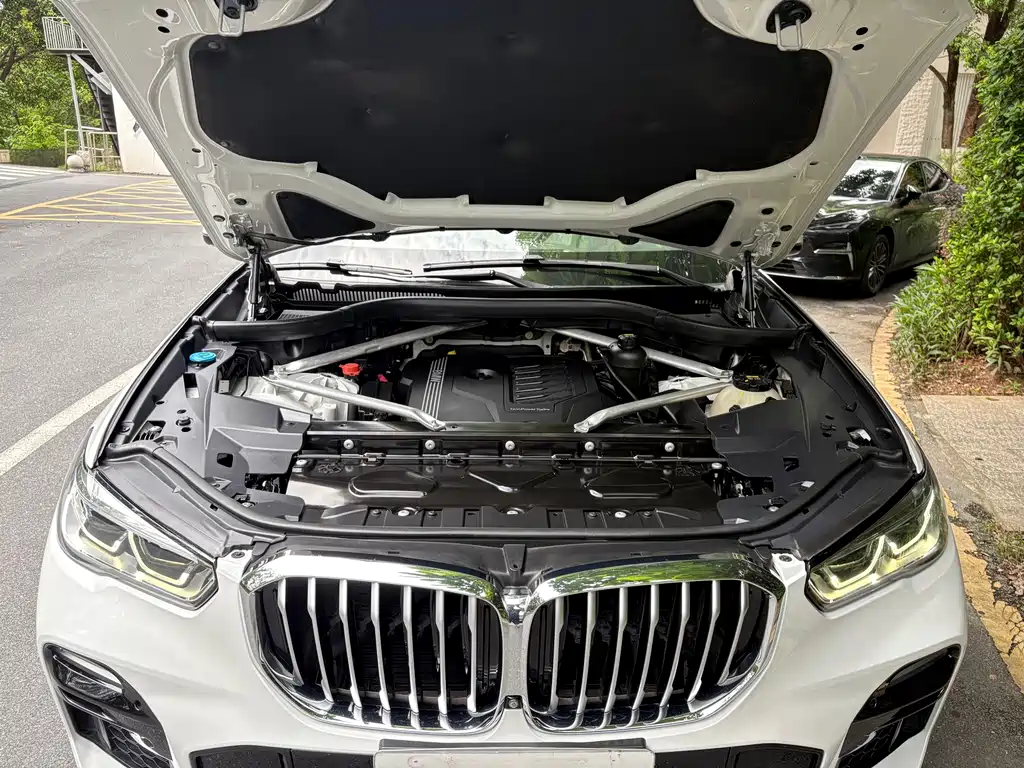 BMW X5 (Import) — миниатюра 19