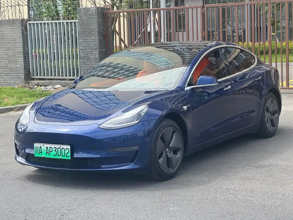 Tesla Model 3 2019