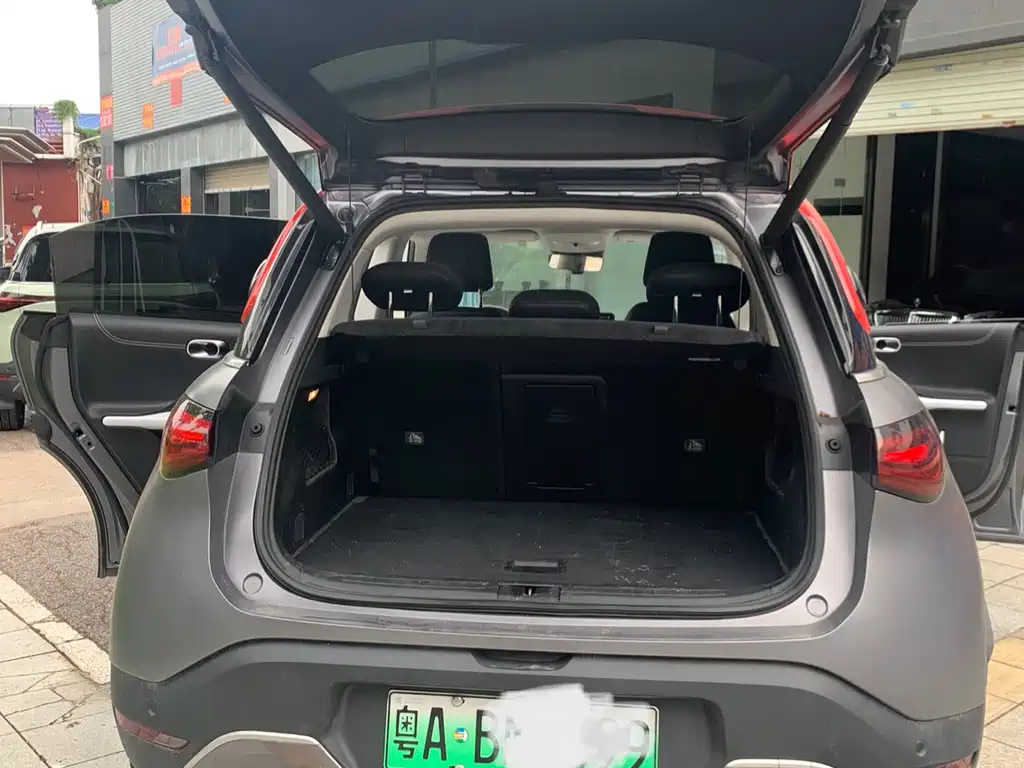 Smart #1 2022 Pulse