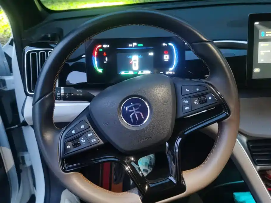 BYD SONGJIANG NEW ENERGY