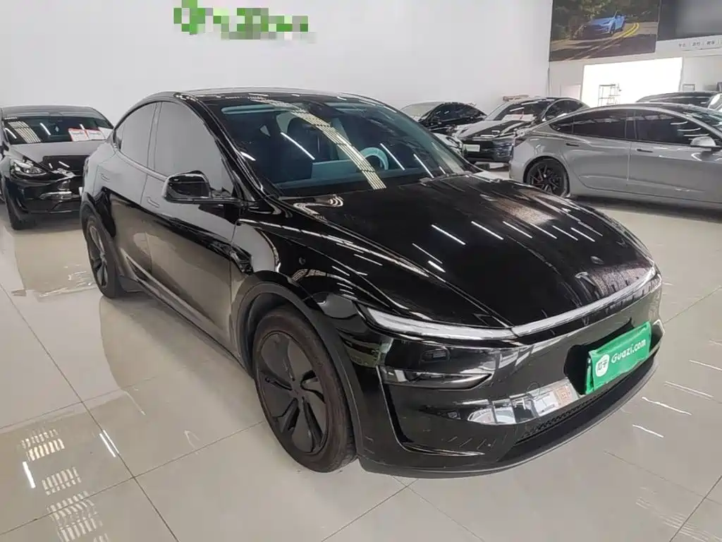 Tesla Model Y — миниатюра 4