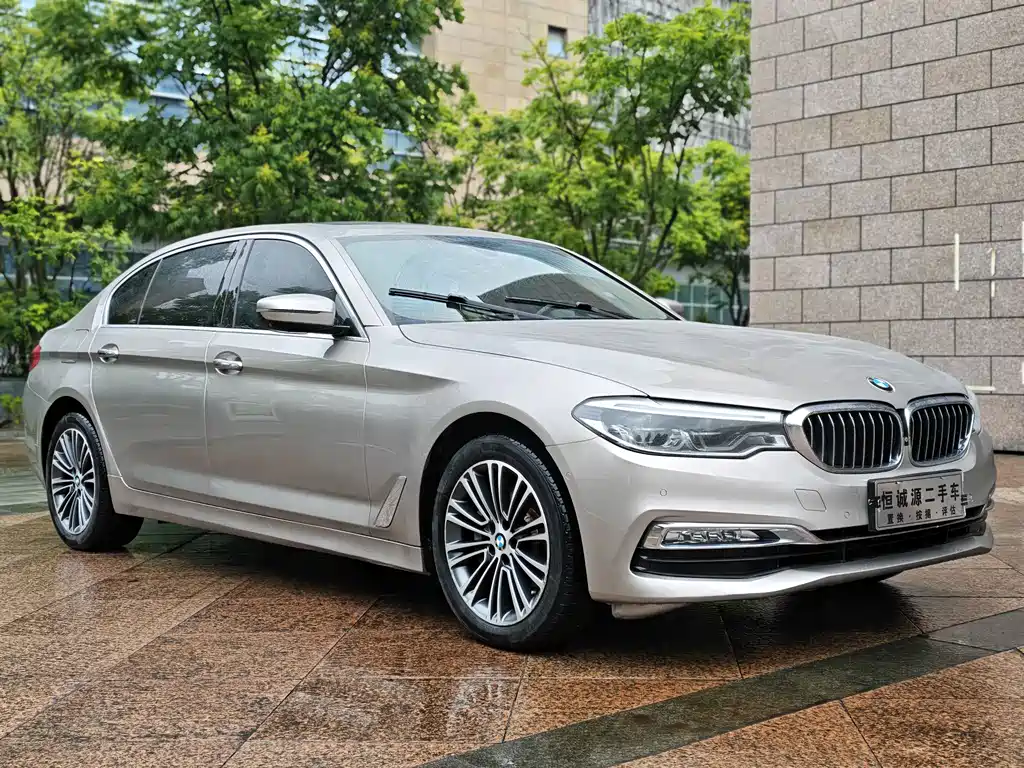 BMW 5 Series 5 2018 530Li Premium Luxury